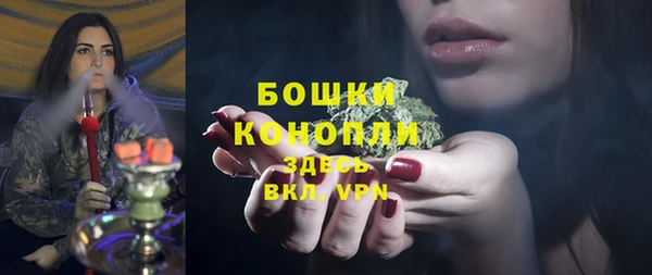 стафф Козельск