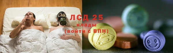 дживик Костерёво