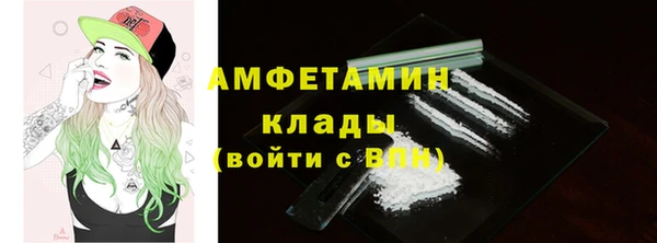 индика Кодинск