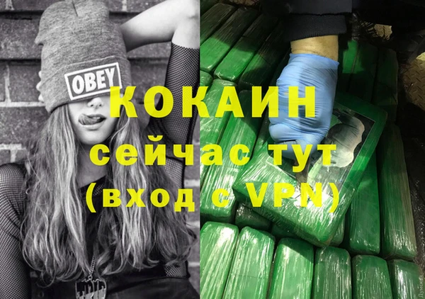 индика Кодинск