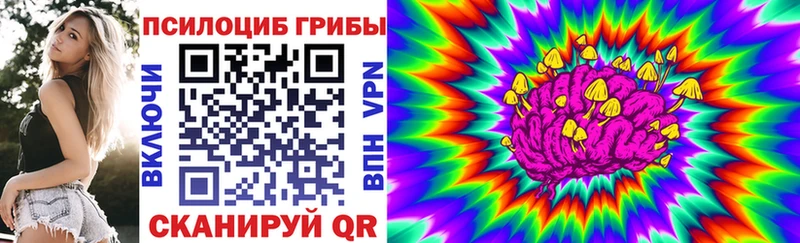 Галлюциногенные грибы Cubensis  Мелеуз 